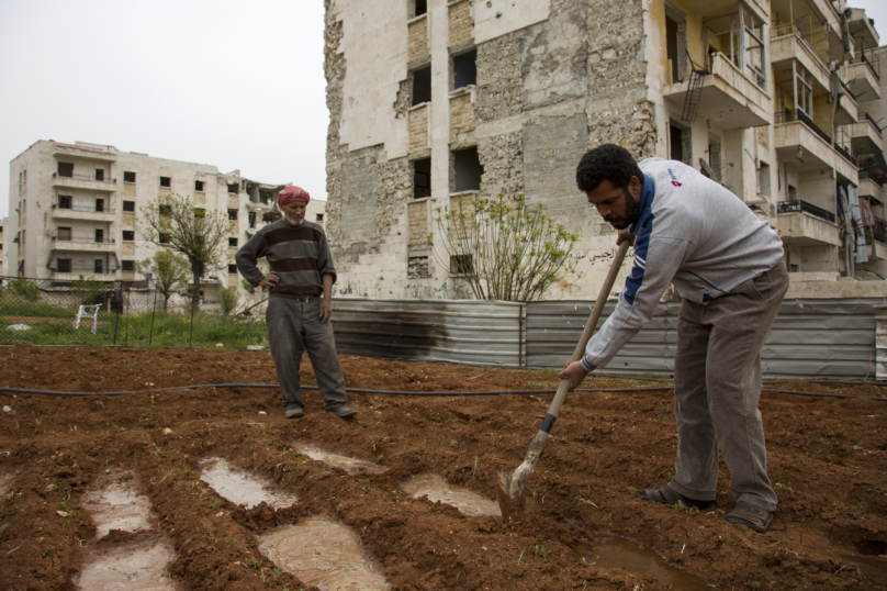 Le difficile sauvetage de la banque de semences d’Alep
