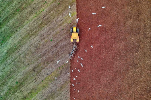 Le Sénat au service de l’agriculture intensive