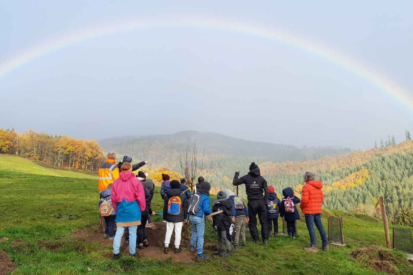 Remettre la forêt au cœur de la commune