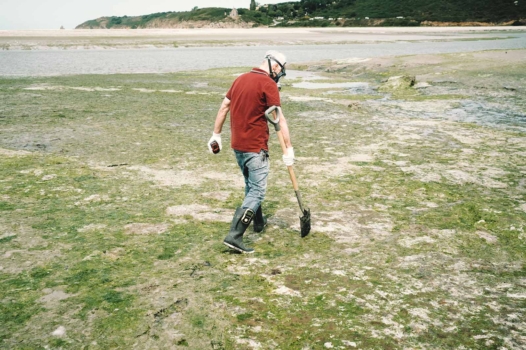 Le fléau des algues vertes en Bretagne