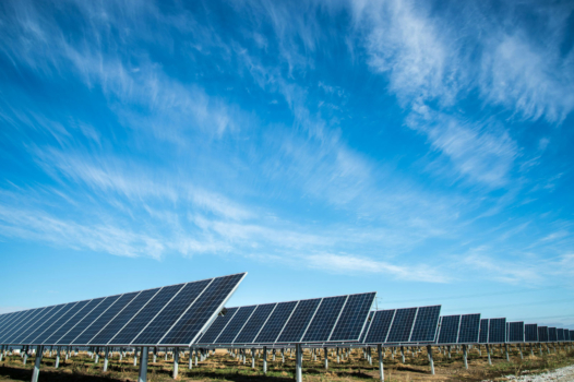 Cruis : victoire écolo contre le parc photovoltaïque
