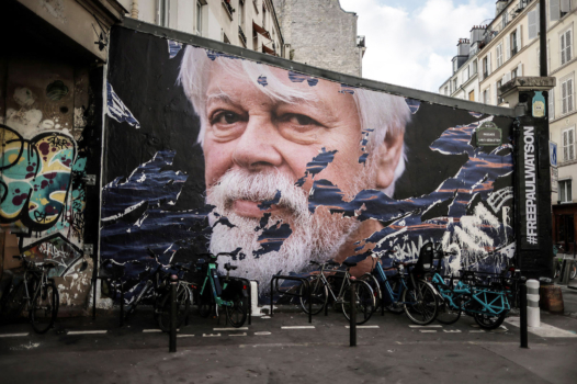 L’insubmersible Paul Watson