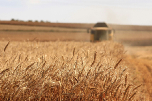 Contre-productivité agricole