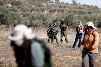 En Cisjordanie, l’accaparement des terres palestiniennes