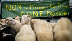 Agriculteurs : vivre ou nourrir, faut-il choisir ?