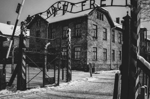 Auschwitz : se souvenir du mal radical