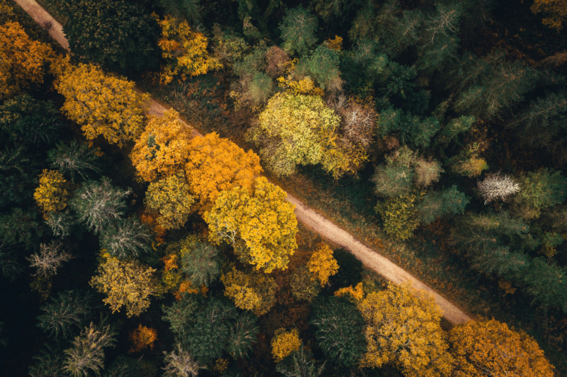 La nature, sujet de droit ?